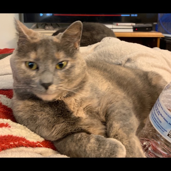 Meet your Posher, Dem! - Picture 6 of 14